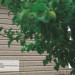 Сайдинг Ю-Пласт TIMBERBLOCK Пихта (Тимберблок) Cахалинская купить в Салавате